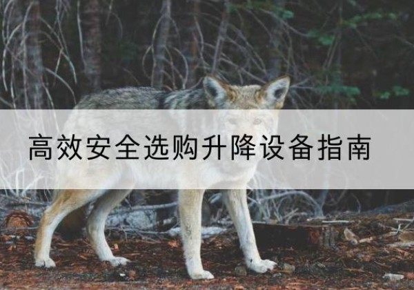 莲池升降货梯厂家推荐-*安全选购升降设备指南
