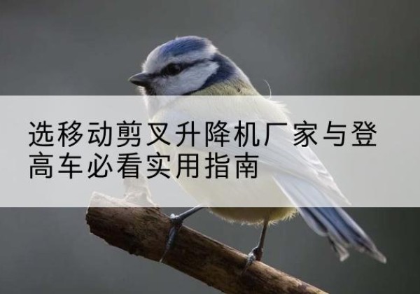 莲池电动升降机厂家-选移动剪叉升降机厂家与登高车必看实用指南