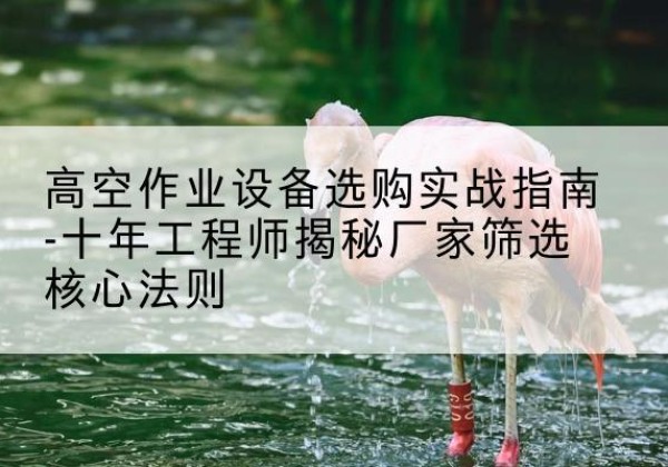 莲池剪叉式升降机厂家-高空作业设备选购实战指南-十年工程师揭秘厂家筛选核心法则